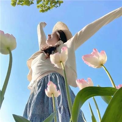 美人记·昭君